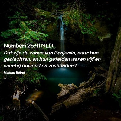 Picture 02 - Numberi 26:41 NLD - Dat zijn de zonen van Benjamin, naar hun - Bible Verse Picture