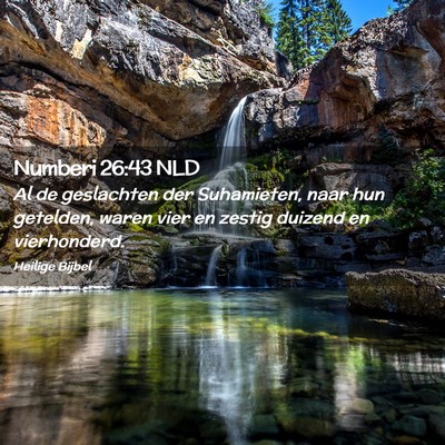 Picture 02 - Numberi 26:43 NLD - Al de geslachten der Suhamieten, naar hun - Bible Verse Picture