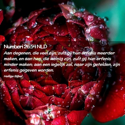 Picture 02 - Numberi 26:54 NLD - Aan degenen, die veel zijn, zult gij hun erfenis - Bible Verse Picture