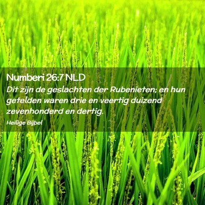 Picture 02 - Numberi 26:7 NLD - Dit zijn de geslachten der Rubenieten; en hun - Bible Verse Picture