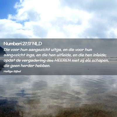 Picture 02 - Numberi 27:17 NLD - Die voor hun aangezicht uitga, en die voor hun - Bible Verse Picture
