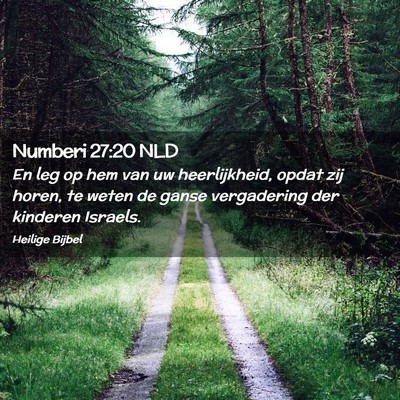 Picture 02 - Numberi 27:20 NLD - En leg op hem van uw heerlijkheid, opdat zij - Bible Verse Picture