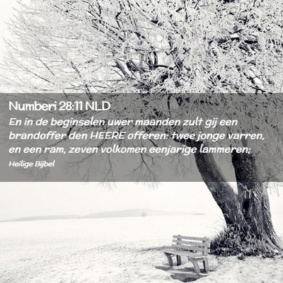 Picture 02 - Numberi 28:11 NLD - En in de beginselen uwer maanden zult gij een - Bible Verse Picture