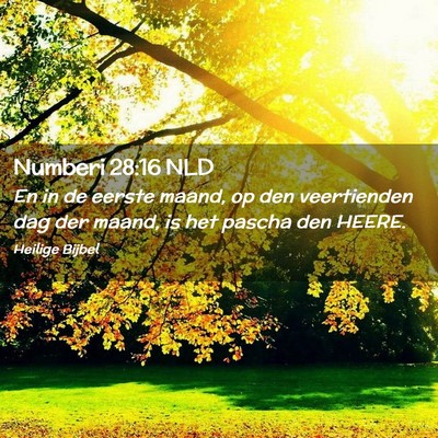 Picture 02 - Numberi 28:16 NLD - En in de eerste maand, op den veertienden dag der - Bible Verse Picture
