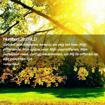 Picture 02 - Numberi 28:2 NLD - Gebied den kinderen Israels, en zeg tot hen: Mijn - Bible Verse Picture