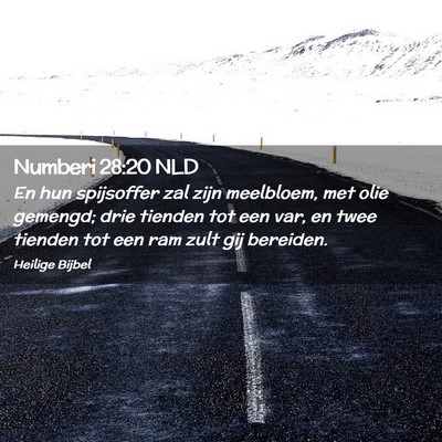 Picture 02 - Numberi 28:20 NLD - En hun spijsoffer zal zijn meelbloem, met olie - Bible Verse Picture