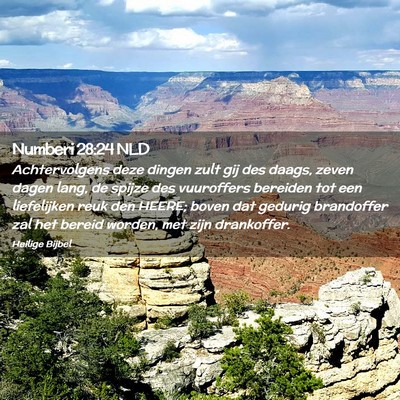 Picture 02 - Numberi 28:24 NLD - Achtervolgens deze dingen zult gij des daags, - Bible Verse Picture