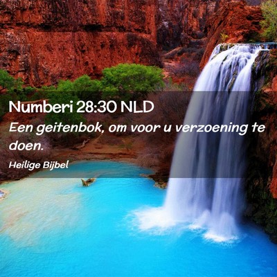 Picture 02 - Numberi 28:30 NLD - Een geitenbok, om voor u verzoening te - Bible Verse Picture
