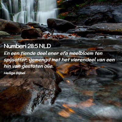Picture 02 - Numberi 28:5 NLD - En een tiende deel ener efa meelbloem ten - Bible Verse Picture