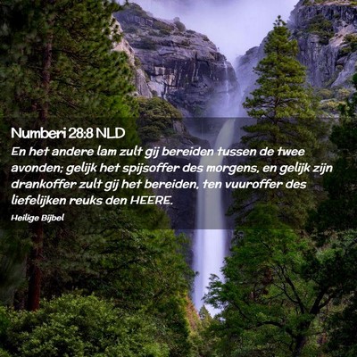 Picture 02 - Numberi 28:8 NLD - En het andere lam zult gij bereiden tussen de - Bible Verse Picture