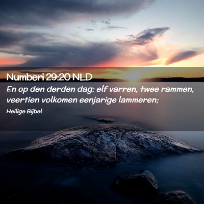 Picture 02 - Numberi 29:20 NLD - En op den derden dag: elf varren, twee rammen, - Bible Verse Picture
