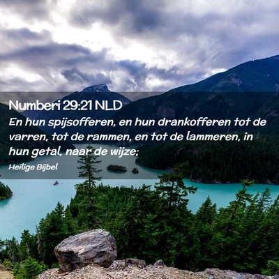 Picture 02 - Numberi 29:21 NLD - En hun spijsofferen, en hun drankofferen tot de - Bible Verse Picture