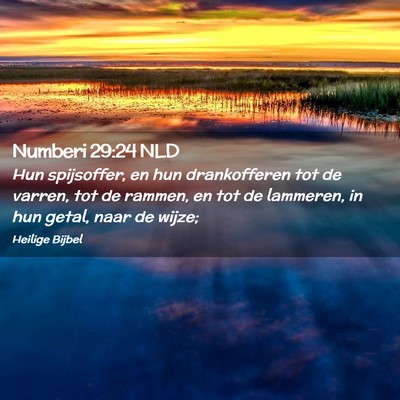 Picture 02 - Numberi 29:24 NLD - Hun spijsoffer, en hun drankofferen tot de - Bible Verse Picture