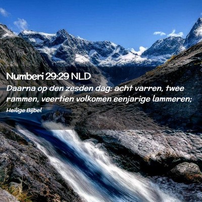 Picture 02 - Numberi 29:29 NLD - Daarna op den zesden dag: acht varren, twee - Bible Verse Picture