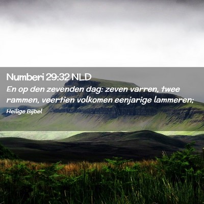 Picture 02 - Numberi 29:32 NLD - En op den zevenden dag: zeven varren, twee - Bible Verse Picture