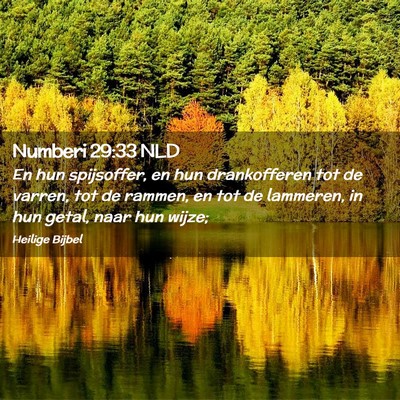 Picture 02 - Numberi 29:33 NLD - En hun spijsoffer, en hun drankofferen tot de - Bible Verse Picture