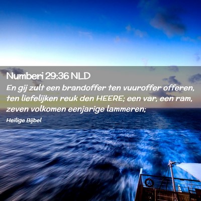 Picture 02 - Numberi 29:36 NLD - En gij zult een brandoffer ten vuuroffer offeren, - Bible Verse Picture