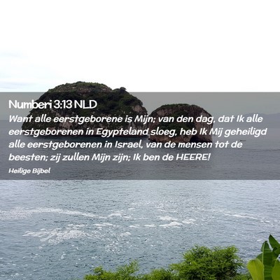 Picture 02 - Numberi 3:13 NLD - Want alle eerstgeborene is Mijn; van den dag, dat - Bible Verse Picture