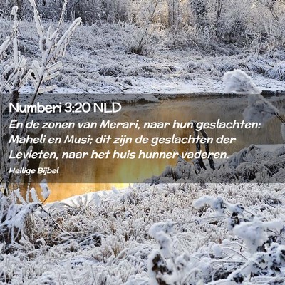 Picture 02 - Numberi 3:20 NLD - En de zonen van Merari, naar hun geslachten: - Bible Verse Picture