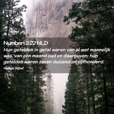 Picture 02 - Numberi 3:22 NLD - Hun getelden in getal waren van al wat mannelijk - Bible Verse Picture