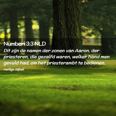 Picture 02 - Numberi 3:3 NLD - Dit zijn de namen der zonen van Aaron, der - Bible Verse Picture