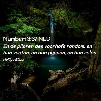 Picture 02 - Numberi 3:37 NLD - En de pilaren des voorhofs rondom, en hun voeten, - Bible Verse Picture