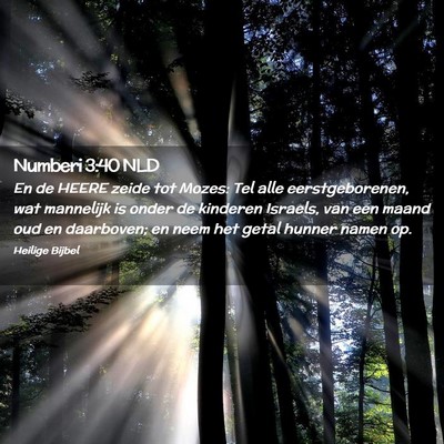 Picture 02 - Numberi 3:40 NLD - En de HEERE zeide tot Mozes: Tel alle - Bible Verse Picture