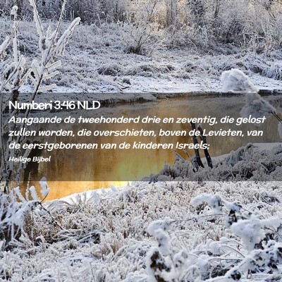 Picture 02 - Numberi 3:46 NLD - Aangaande de tweehonderd drie en zeventig, die - Bible Verse Picture