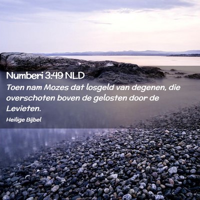 Picture 02 - Numberi 3:49 NLD - Toen nam Mozes dat losgeld van degenen, die - Bible Verse Picture