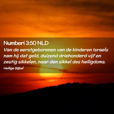 Picture 02 - Numberi 3:50 NLD - Van de eerstgeborenen van de kinderen Israels nam - Bible Verse Picture
