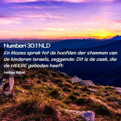 Picture 02 - Numberi 30:1 NLD - En Mozes sprak tot de hoofden der stammen van de - Bible Verse Picture