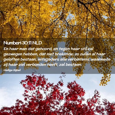 Picture 02 - Numberi 30:11 NLD - En haar man dat gehoord, en tegen haar stil zal - Bible Verse Picture