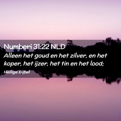 Picture 02 - Numberi 31:22 NLD - Alleen het goud en het zilver, en het koper, het - Bible Verse Picture