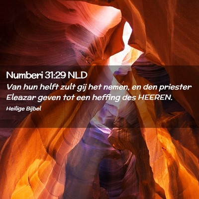 Picture 02 - Numberi 31:29 NLD - Van hun helft zult gij het nemen, en den priester - Bible Verse Picture