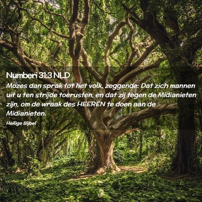 Picture 02 - Numberi 31:3 NLD - Mozes dan sprak tot het volk, zeggende: Dat zich - Bible Verse Picture