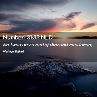 Picture 02 - Numberi 31:33 NLD - En twee en zeventig duizend - Bible Verse Picture
