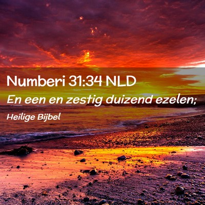 Picture 02 - Numberi 31:34 NLD - En een en zestig duizend - Bible Verse Picture