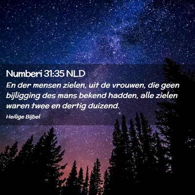 Picture 02 - Numberi 31:35 NLD - En der mensen zielen, uit de vrouwen, die geen - Bible Verse Picture