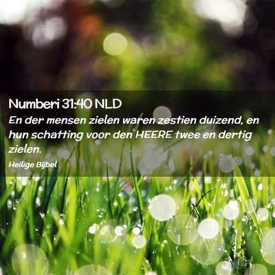 Picture 02 - Numberi 31:40 NLD - En der mensen zielen waren zestien duizend, en - Bible Verse Picture