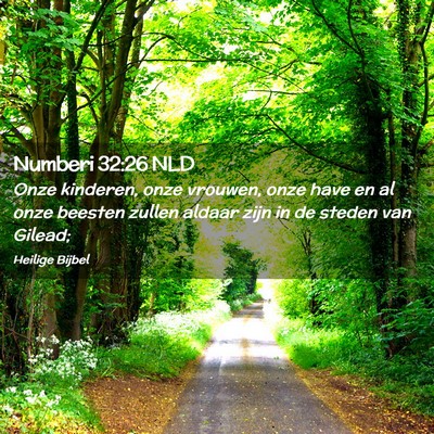 Picture 02 - Numberi 32:26 NLD - Onze kinderen, onze vrouwen, onze have en al onze - Bible Verse Picture
