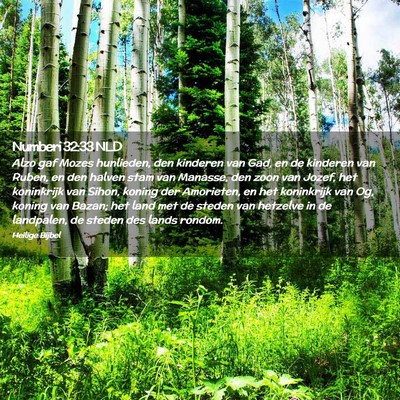 Picture 02 - Numberi 32:33 NLD - Alzo gaf Mozes hunlieden, den kinderen van Gad, - Bible Verse Picture