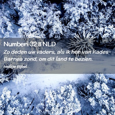 Picture 02 - Numberi 32:8 NLD - Zo deden uw vaders, als ik hen van Kades-Barnea - Bible Verse Picture