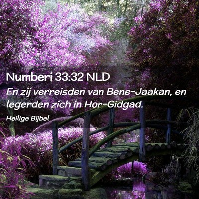 Picture 02 - Numberi 33:32 NLD - En zij verreisden van Bene-Jaakan, en legerden - Bible Verse Picture