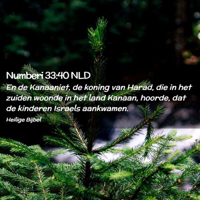Picture 02 - Numberi 33:40 NLD - En de Kanaaniet, de koning van Harad, die in het - Bible Verse Picture