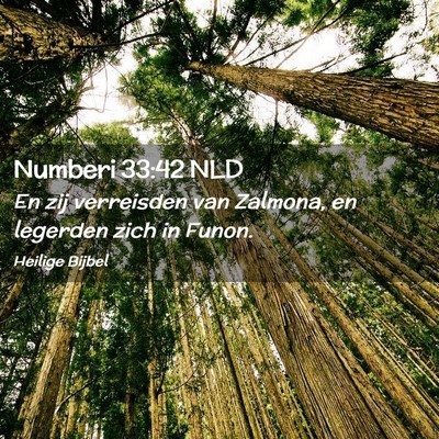 Picture 02 - Numberi 33:42 NLD - En zij verreisden van Zalmona, en legerden zich - Bible Verse Picture
