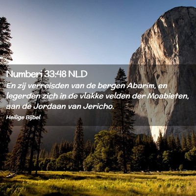Picture 02 - Numberi 33:48 NLD - En zij verreisden van de bergen Abarim, en - Bible Verse Picture