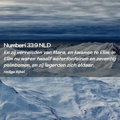 Picture 02 - Numberi 33:9 NLD - En zij verreisden van Mara, en kwamen te Elim; in - Bible Verse Picture