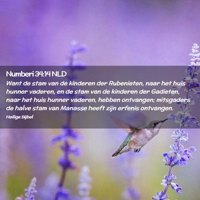 Picture 02 - Numberi 34:14 NLD - Want de stam van de kinderen der Rubenieten, naar - Bible Verse Picture
