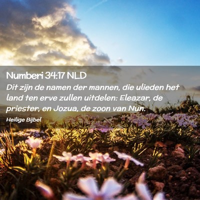 Picture 02 - Numberi 34:17 NLD - Dit zijn de namen der mannen, die ulieden het - Bible Verse Picture