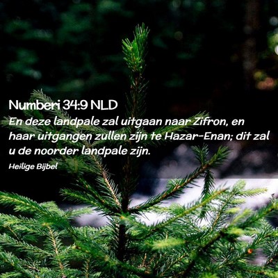 Picture 02 - Numberi 34:9 NLD - En deze landpale zal uitgaan naar Zifron, en haar - Bible Verse Picture